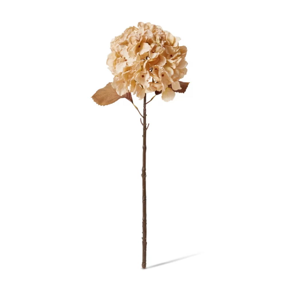 Artificial Hydrangea Anna Decor Stem - Beige - 63cms