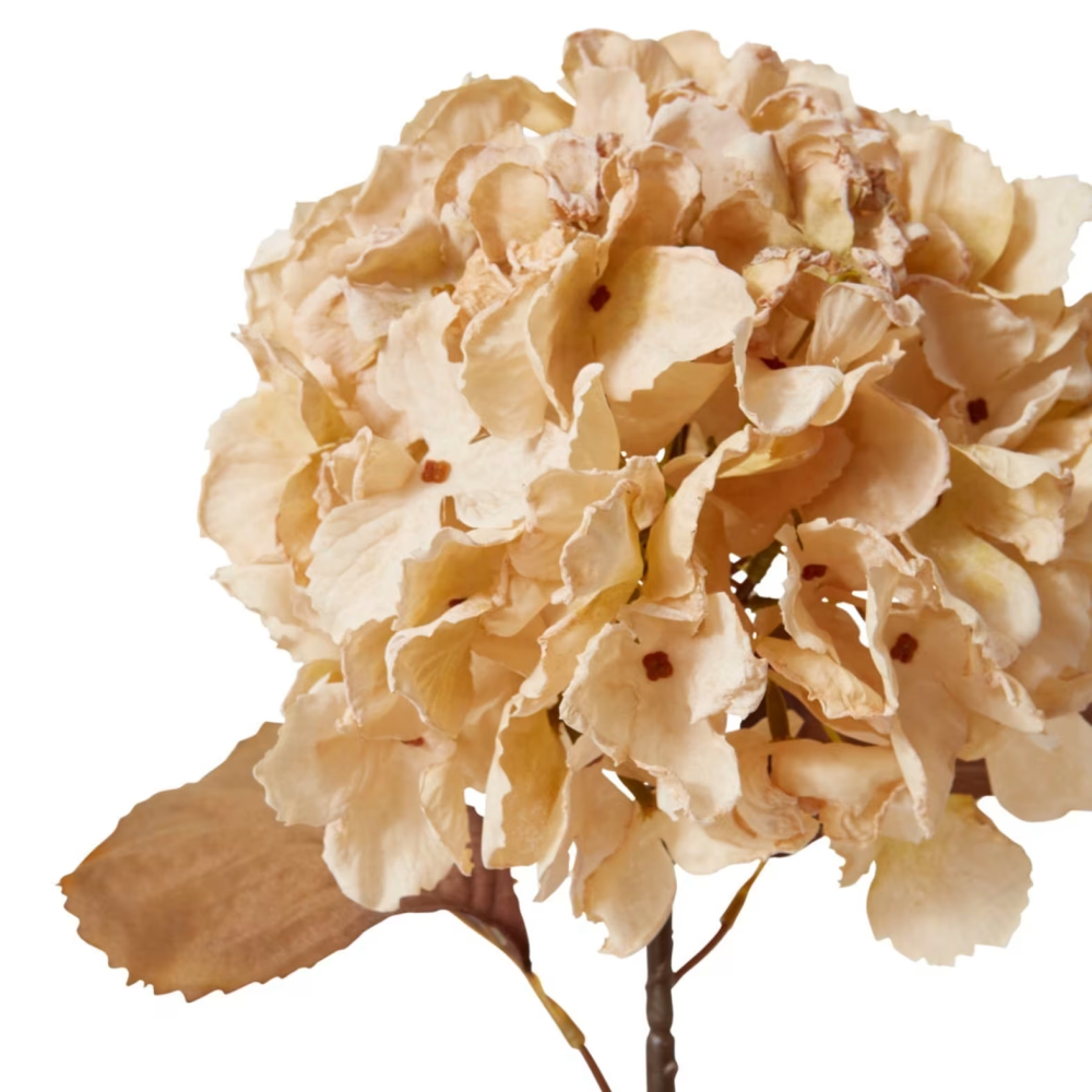Artificial Hydrangea Anna Decor Stem - Beige - 63cms