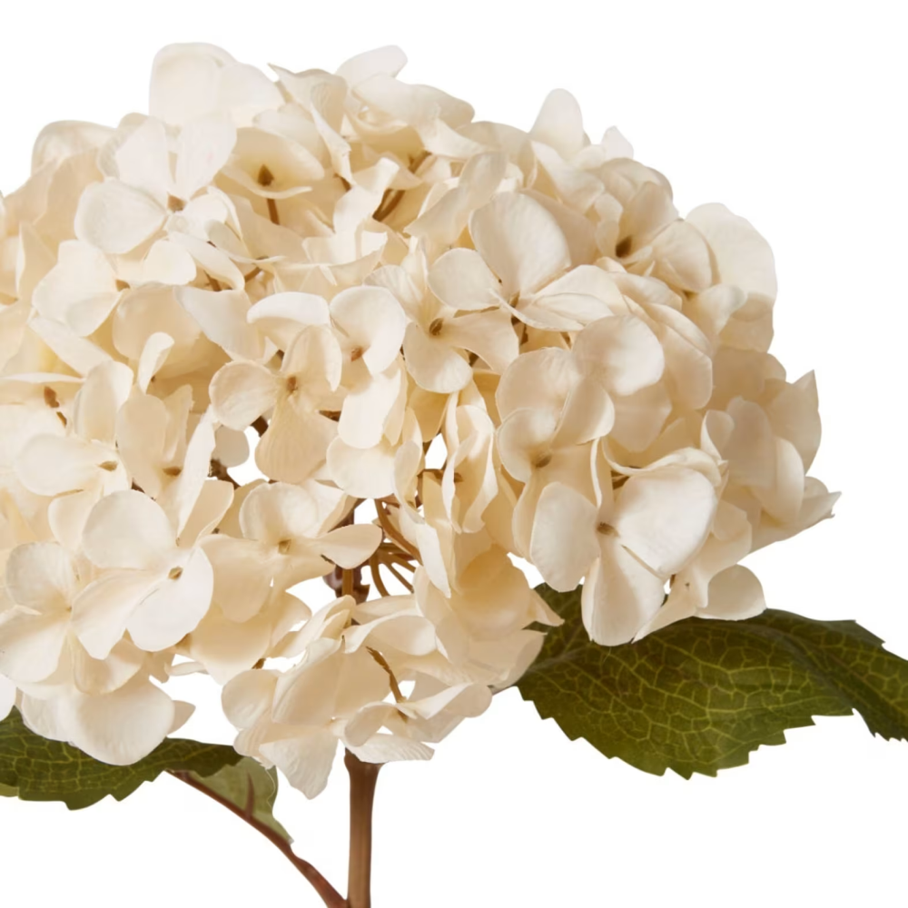 Artificial Hydrangea Decor Stem - Ivory - 63cms