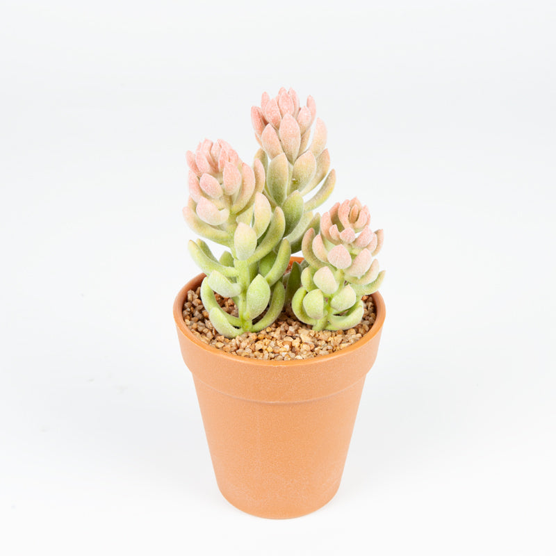 Artificial Jelly Bean Plant Plastic Pot - 21cms