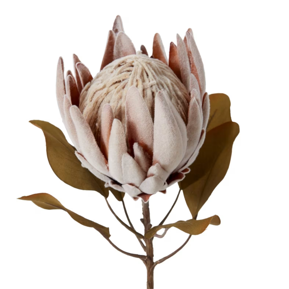 Artificial King Dried Look Stem - Light Pink - 61cms