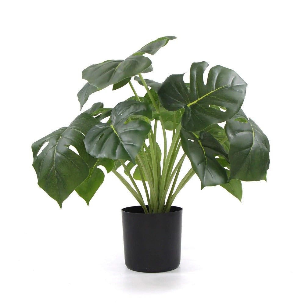 Artificial Monstera Deliciosa Plant With 50cms