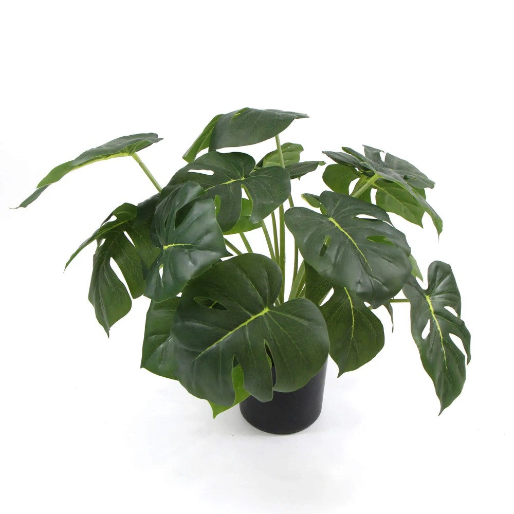 Artificial Monstera Deliciosa Plant With 50cms