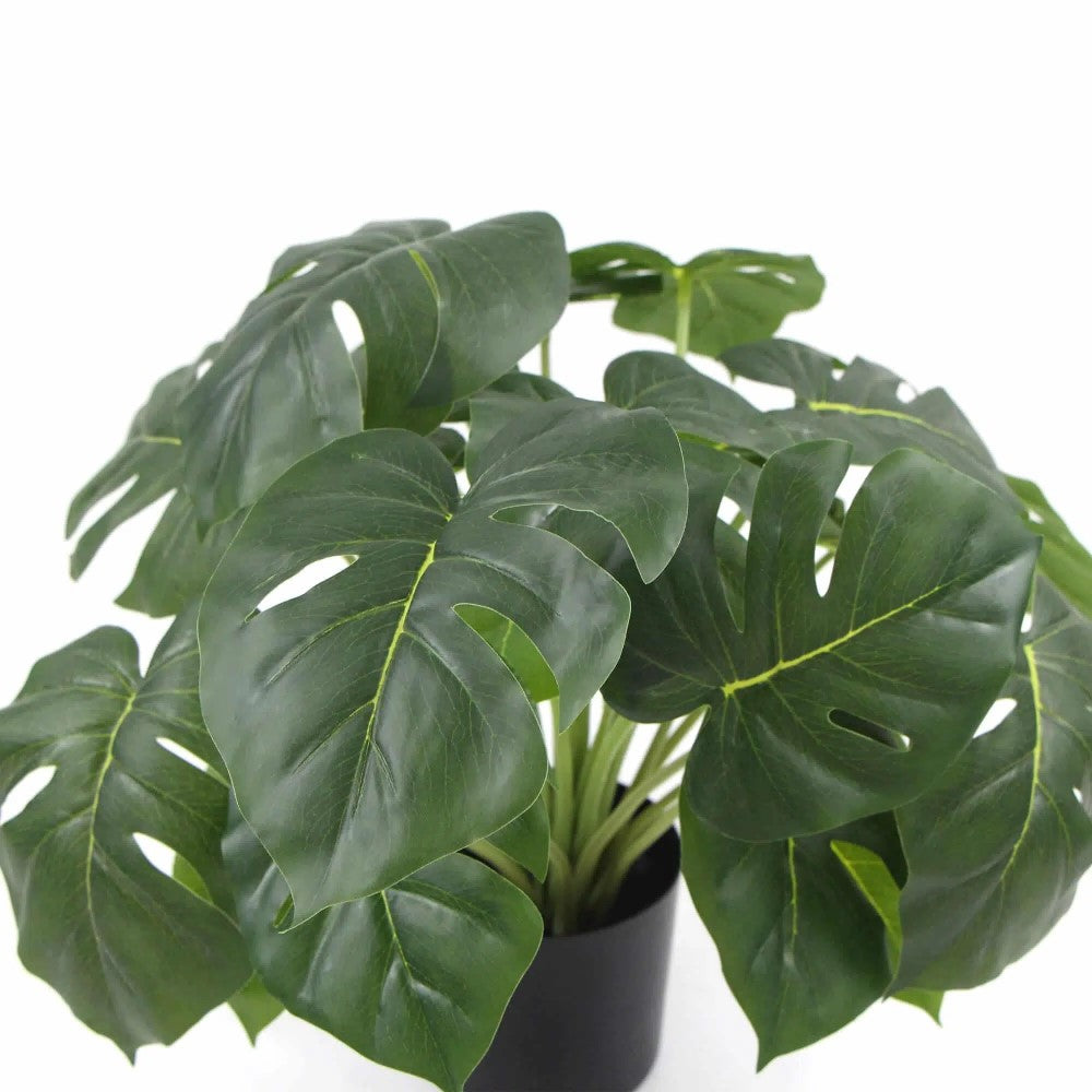 Artificial Monstera Deliciosa Plant With 50cms