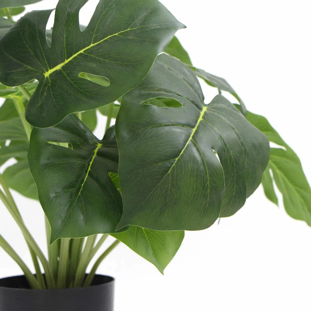 Artificial Monstera Deliciosa Plant With 50cms