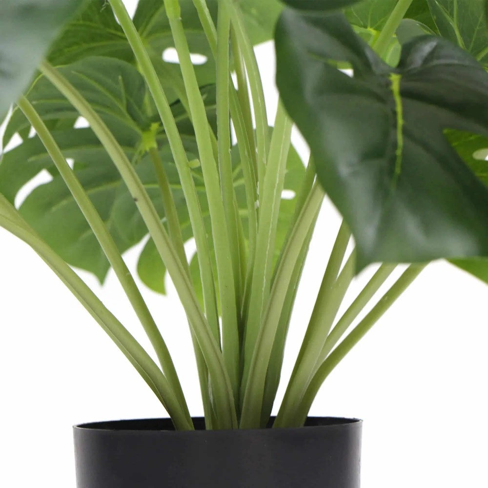 Artificial Monstera Deliciosa Plant With 50cms