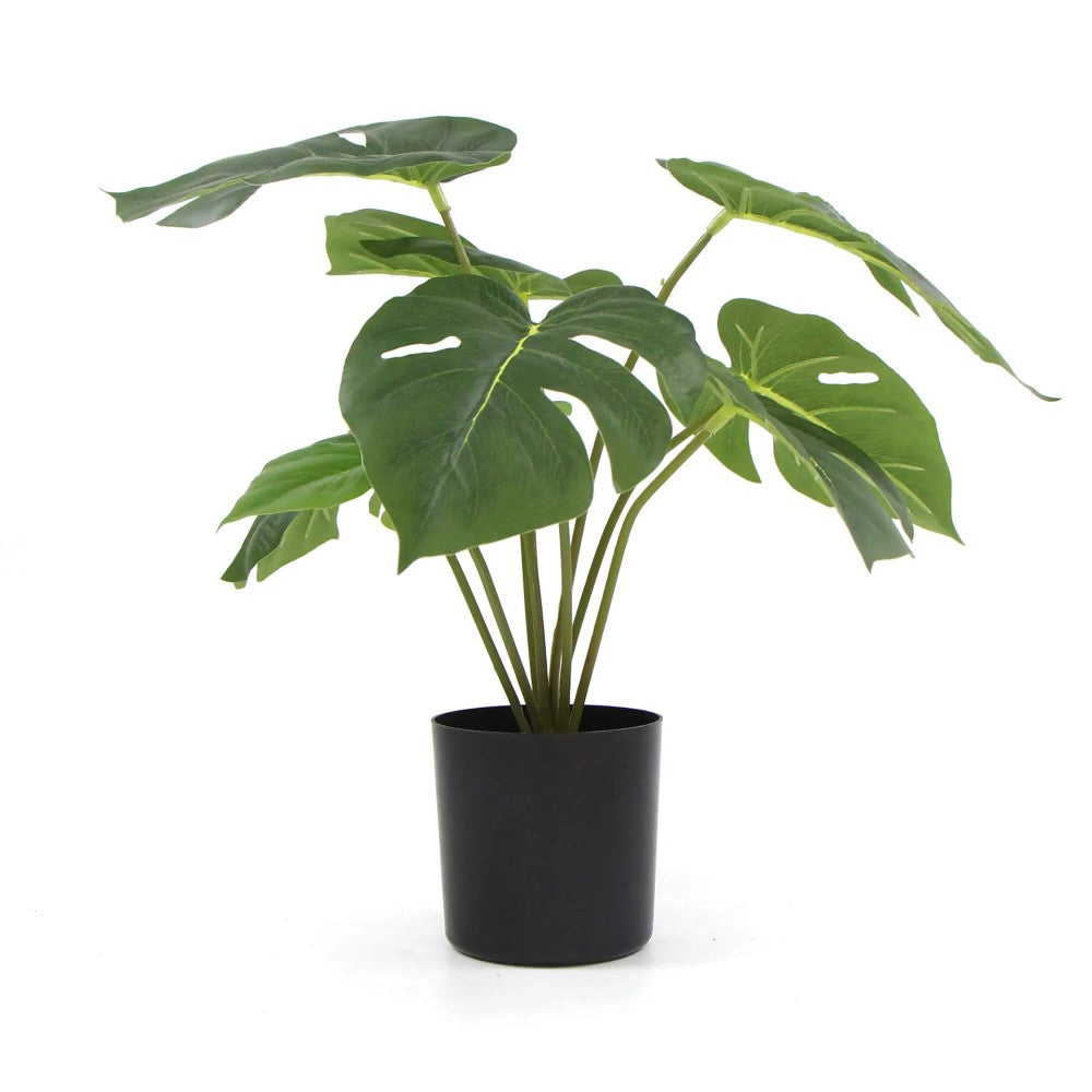 Artificial Monstera Split Philodendron Plant 35cms