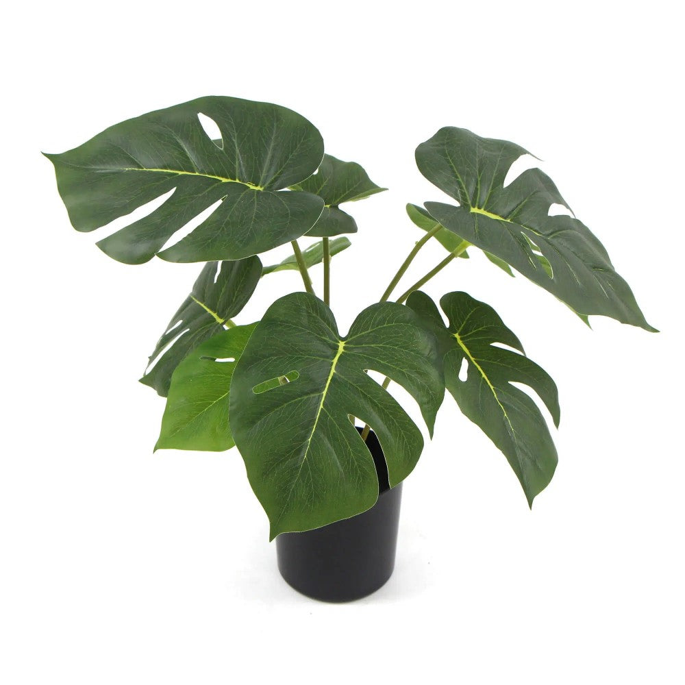 Artificial Monstera Split Philodendron Plant 35cms