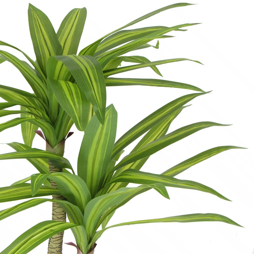 Artificial Multi Head Dracaena Tree 130cms