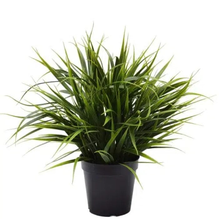 Artificial Ornamental Green Grass UV Resistant 38cms