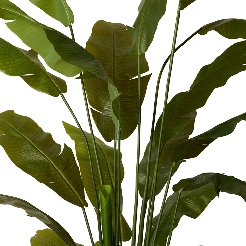 Artificial Outdoor Banana Tree - 210cms