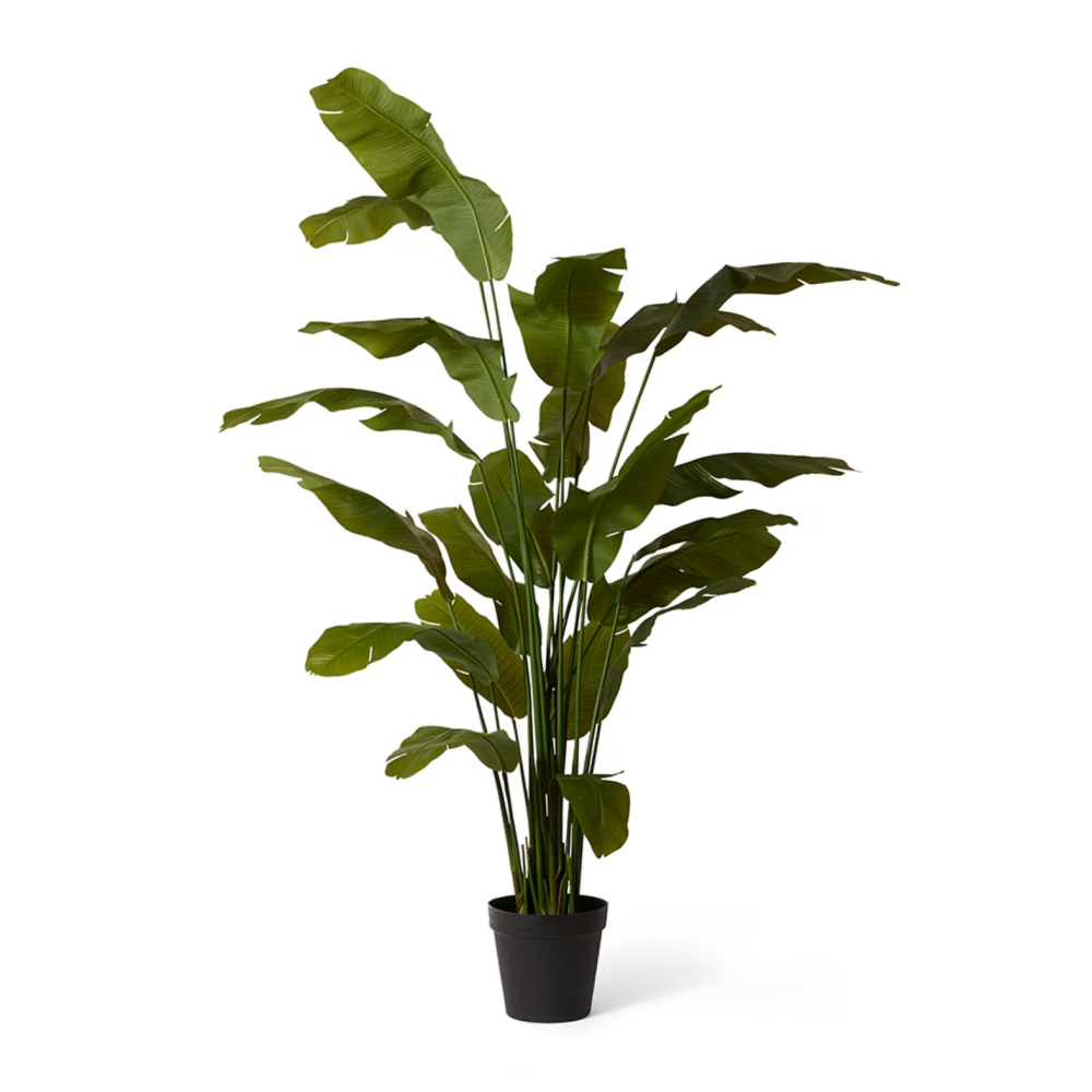 Artificial Outdoor Banana Tree - 240cms