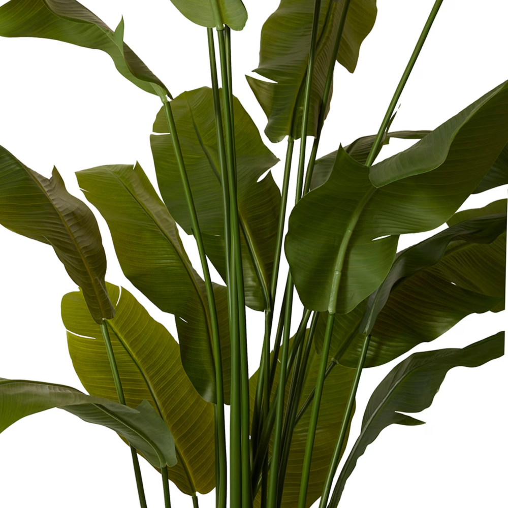 Artificial Outdoor Banana Tree - 240cms