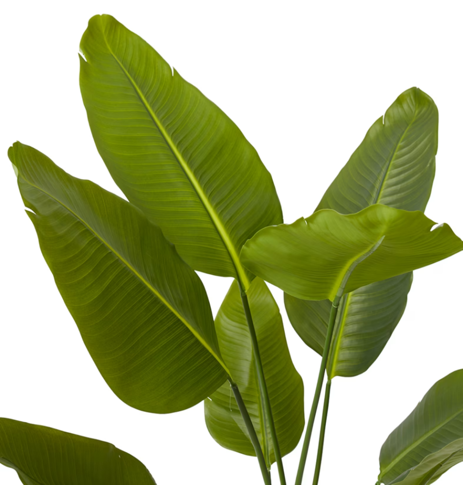 Artificial Outdoor Bird of Paradise Tree - 120cms