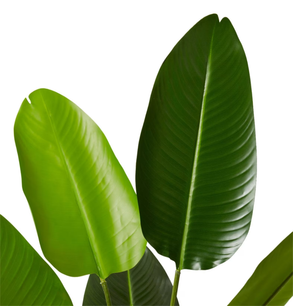 Artificial Outdoor Bird of Paradise Tree - 122cms