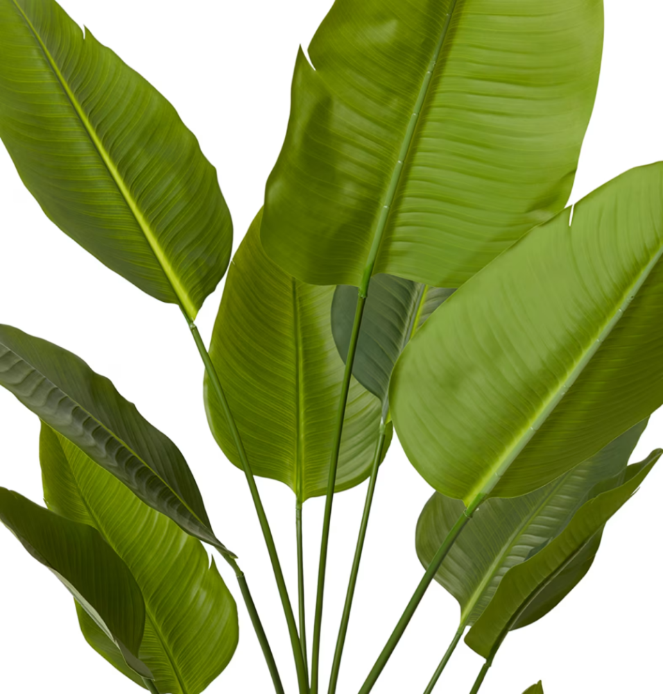 Artificial Outdoor Bird of Paradise Tree - 150cms