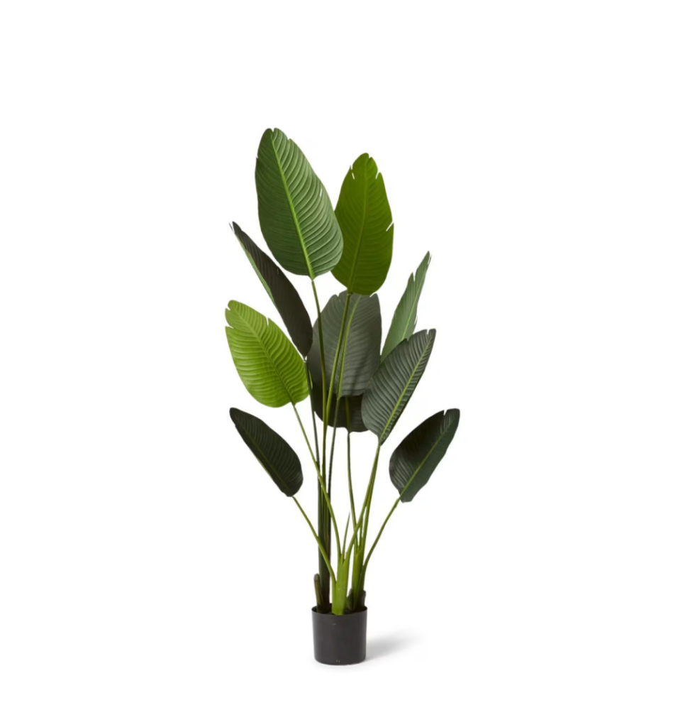 Artificial Outdoor Bird of Paradise Tree - 152cms