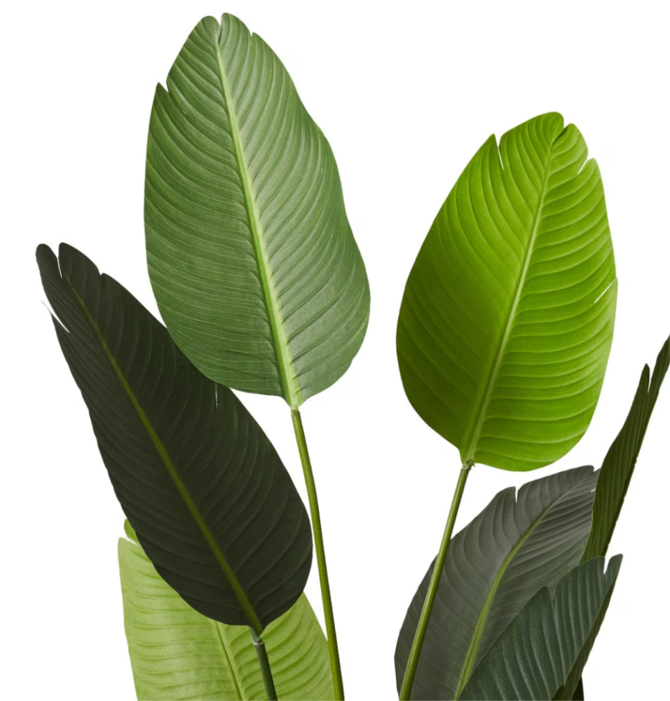 Artificial Outdoor Bird of Paradise Tree - 152cms