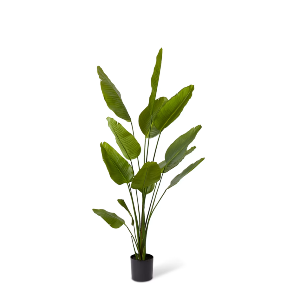 Artificial Outdoor Bird of Paradise Tree - 180cms