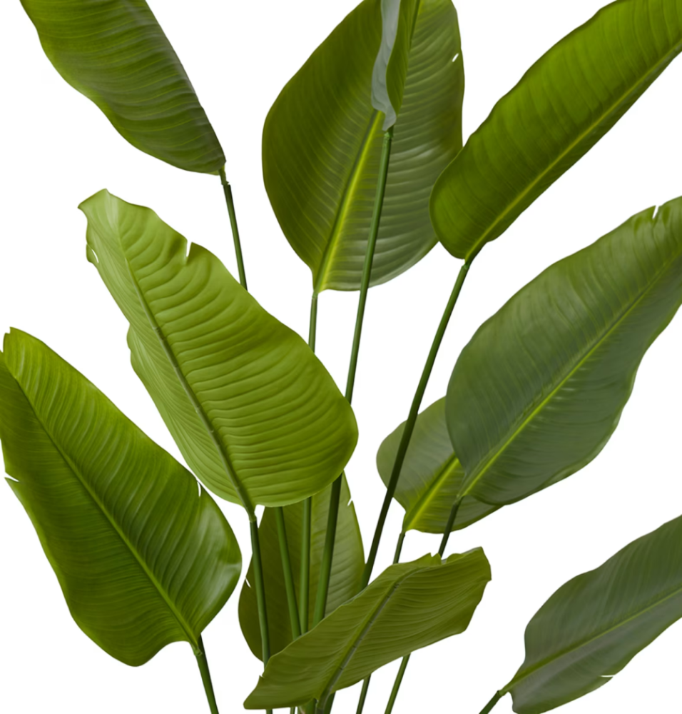 Artificial Outdoor Bird of Paradise Tree - 180cms