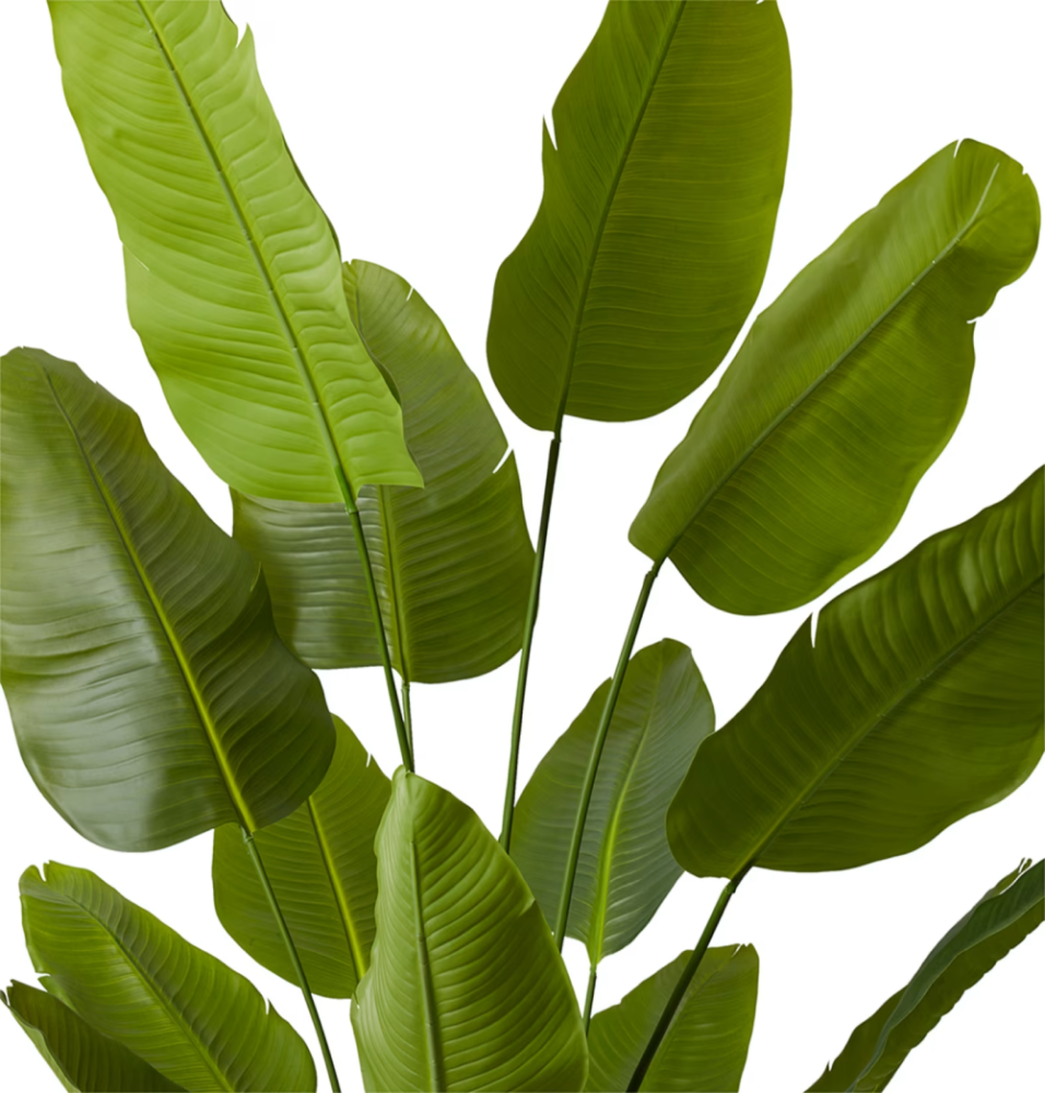 Artificial Outdoor Bird of Paradise Tree - 210cms