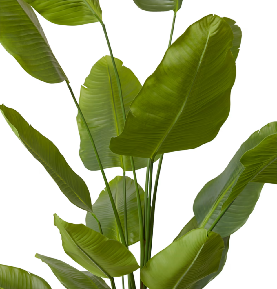 Artificial Outdoor Bird of Paradise Tree - 240cms