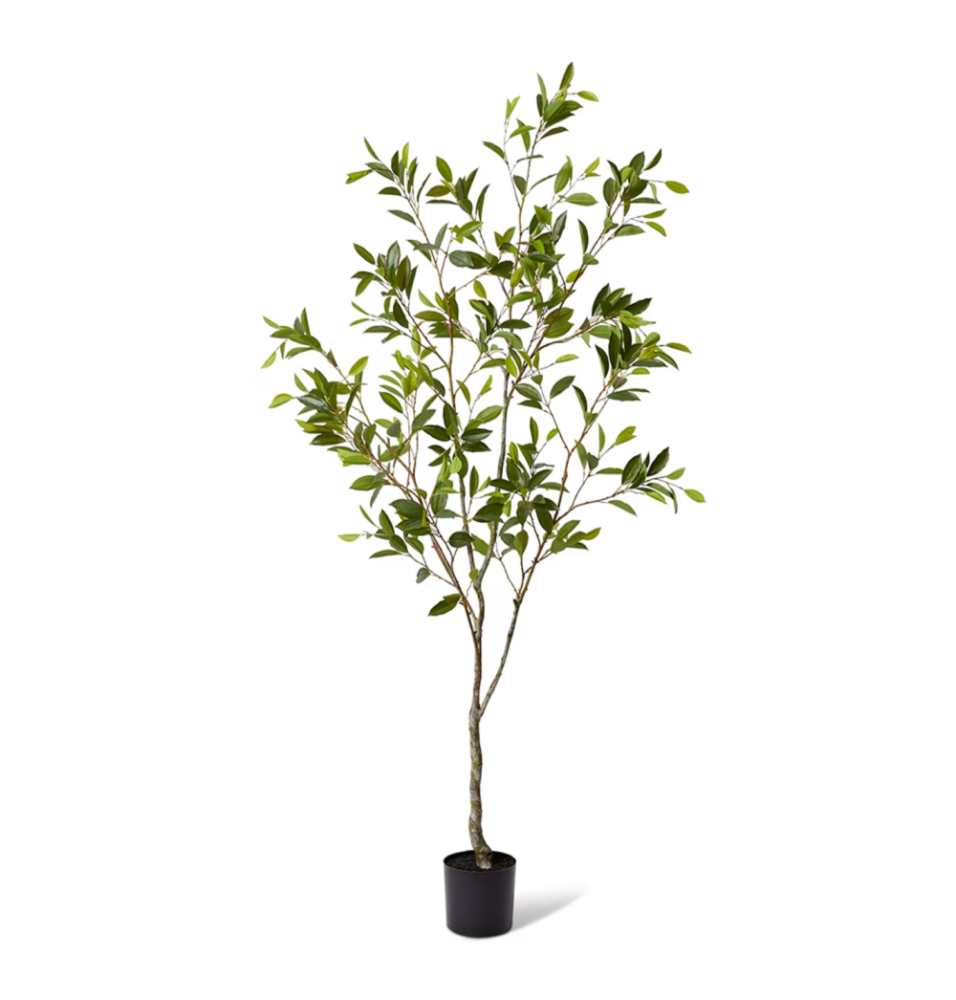 Artificial Outdoor Citrus Tree - 213cms