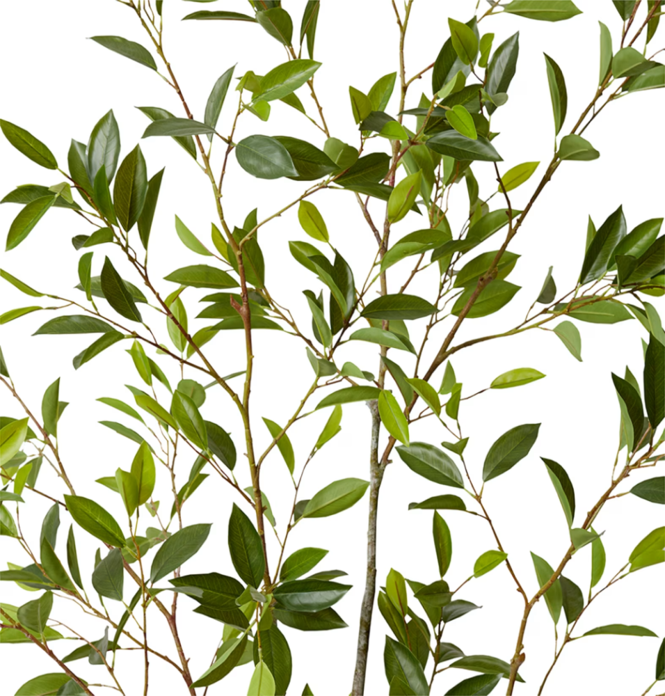 Artificial Outdoor Citrus Tree - 213cms