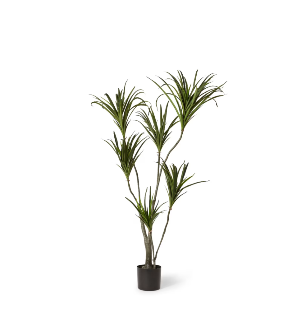 Artificial Outdoor Dragon Tree - 130cms