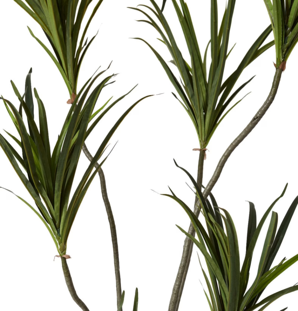 Artificial Outdoor Dragon Tree - 180cms