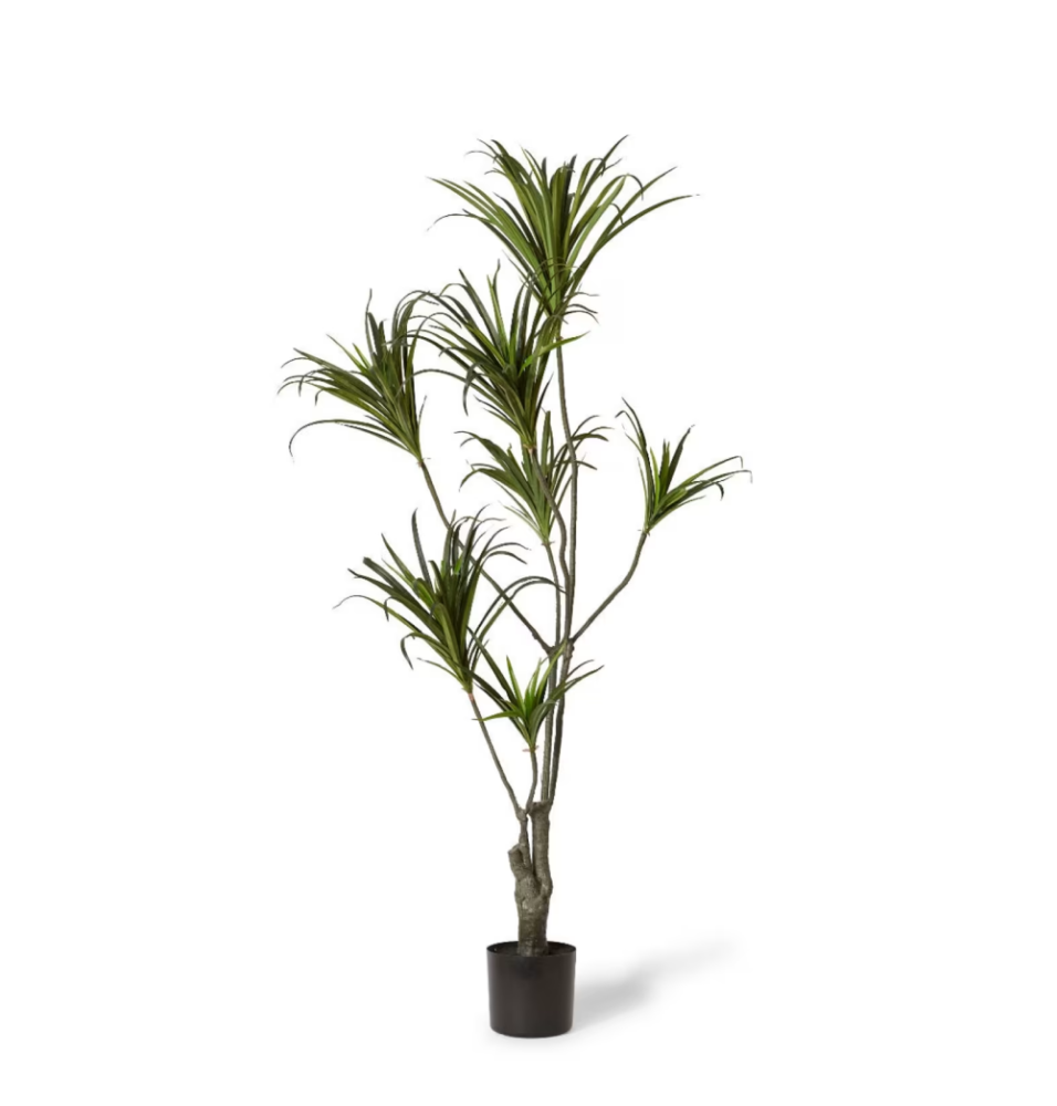 Artificial Outdoor Dragon Tree - 160cms