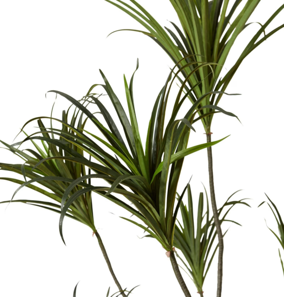 Artificial Outdoor Dragon Tree - 160cms