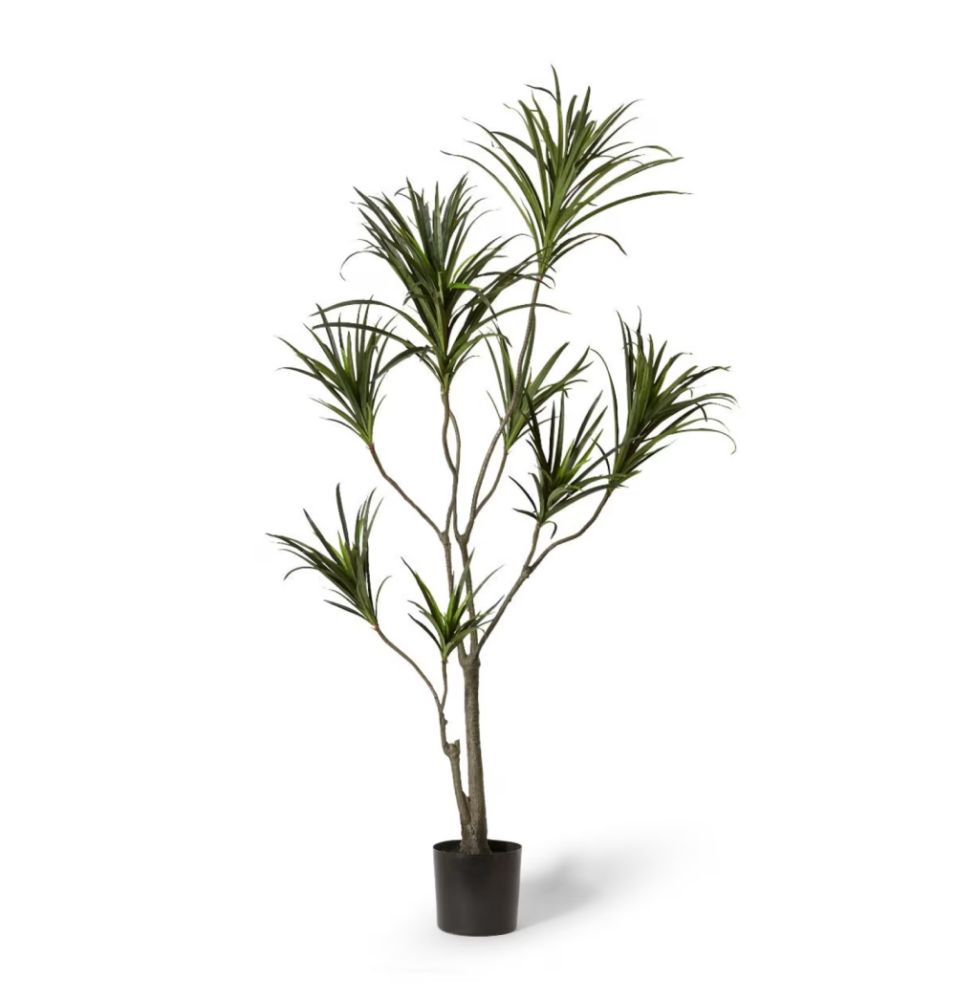 Artificial Outdoor Dragon Tree - 180cms