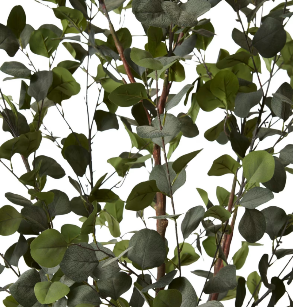 Artificial Outdoor Eucalyptus Tree - 180cms