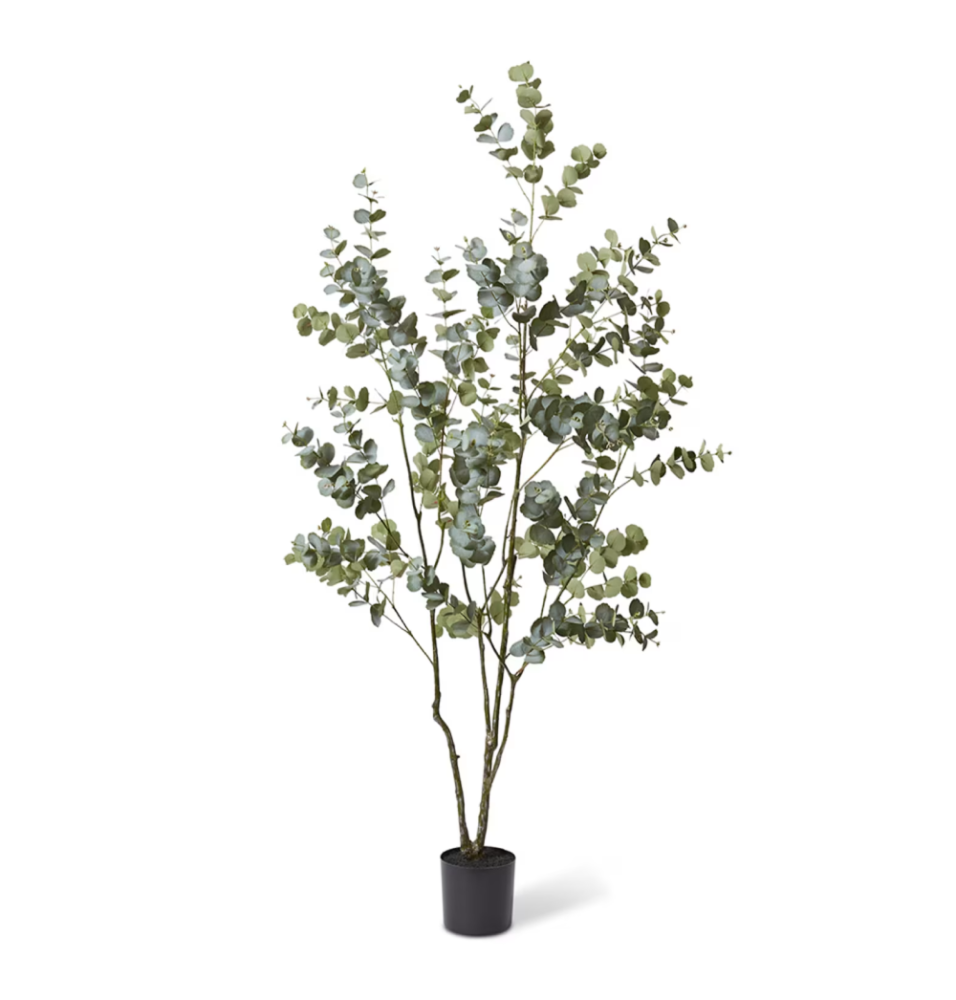 Artificial Outdoor Eucalyptus Tree - 200cms