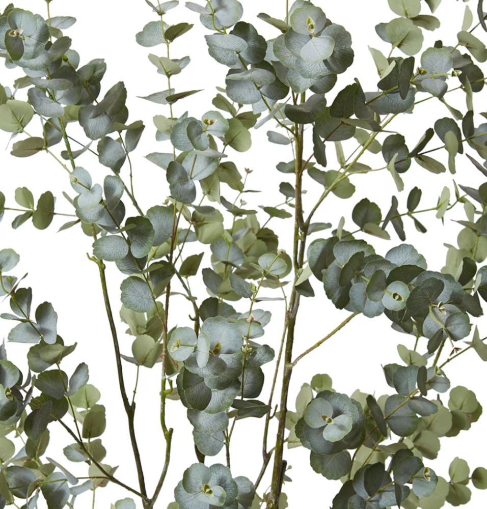 Artificial Outdoor Eucalyptus Tree - 200cms