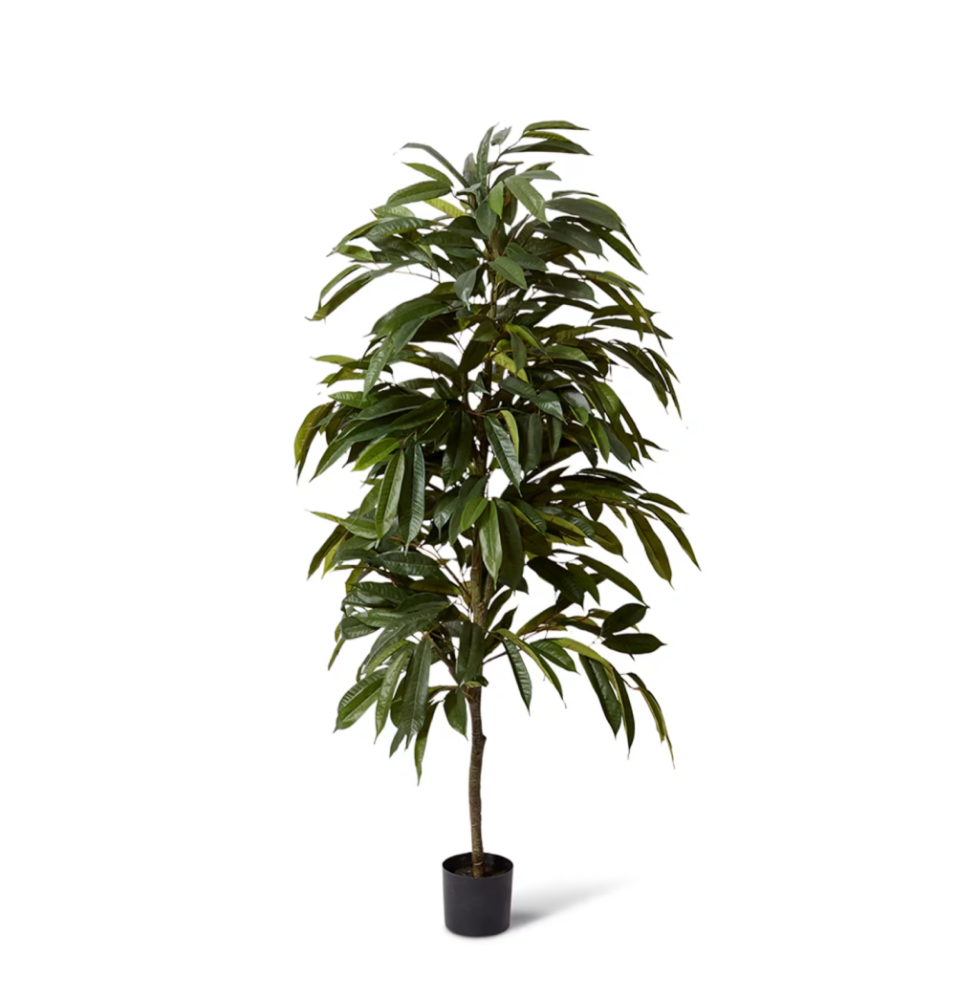 Artificial Outdoor Ficus Alii Tree - 200cms