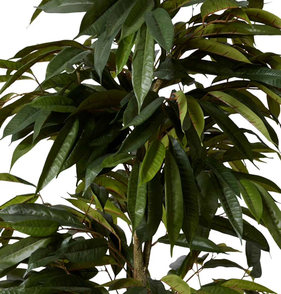 Artificial Outdoor Ficus Alii Tree - 200cms