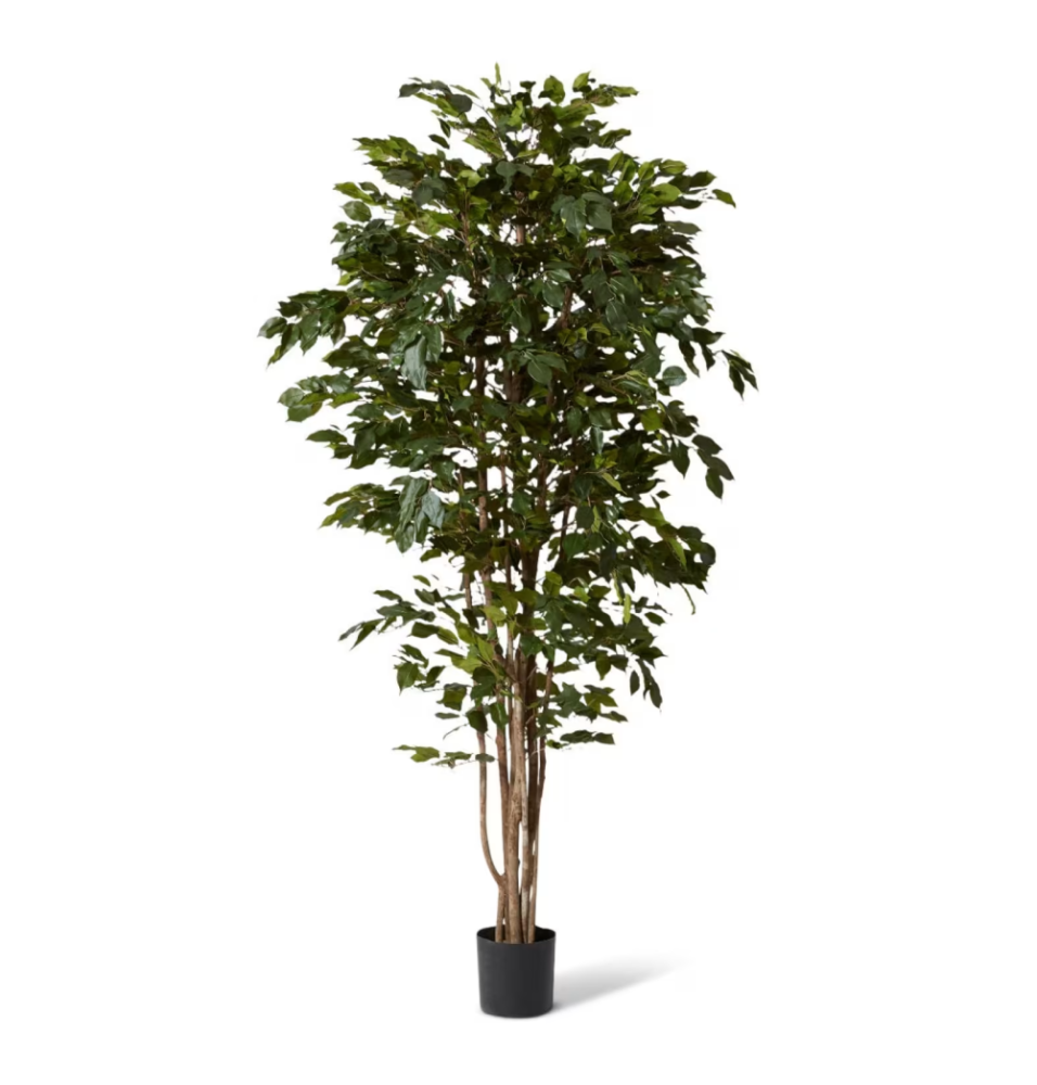 Artificial Outdoor Ficus Alii Tree - 210cms