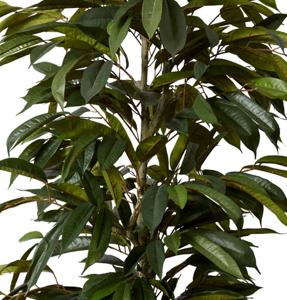 Artificial Outdoor Ficus Alii Tree - 260cms