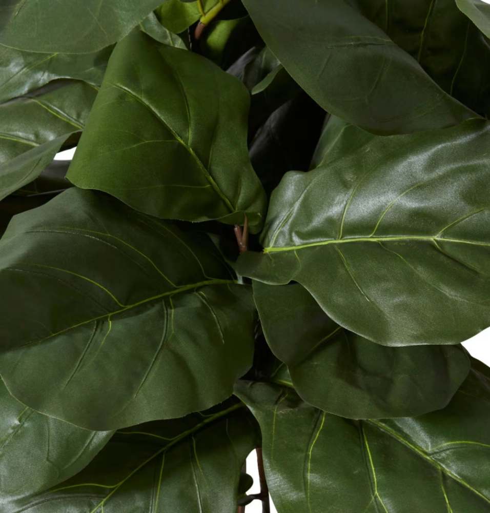 Artificial Outdoor Fiddle Leaf Tree - 120cms