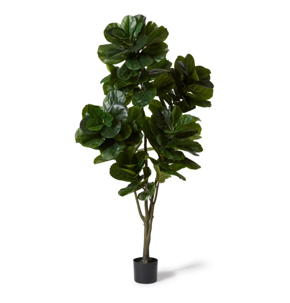 Artificial Outdoor Fiddle Leaf Tree - 210cms