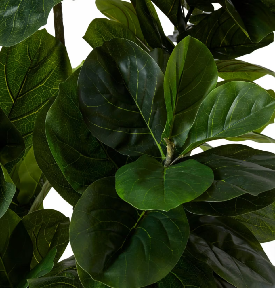 Artificial Outdoor Fiddle Leaf Tree - 210cms