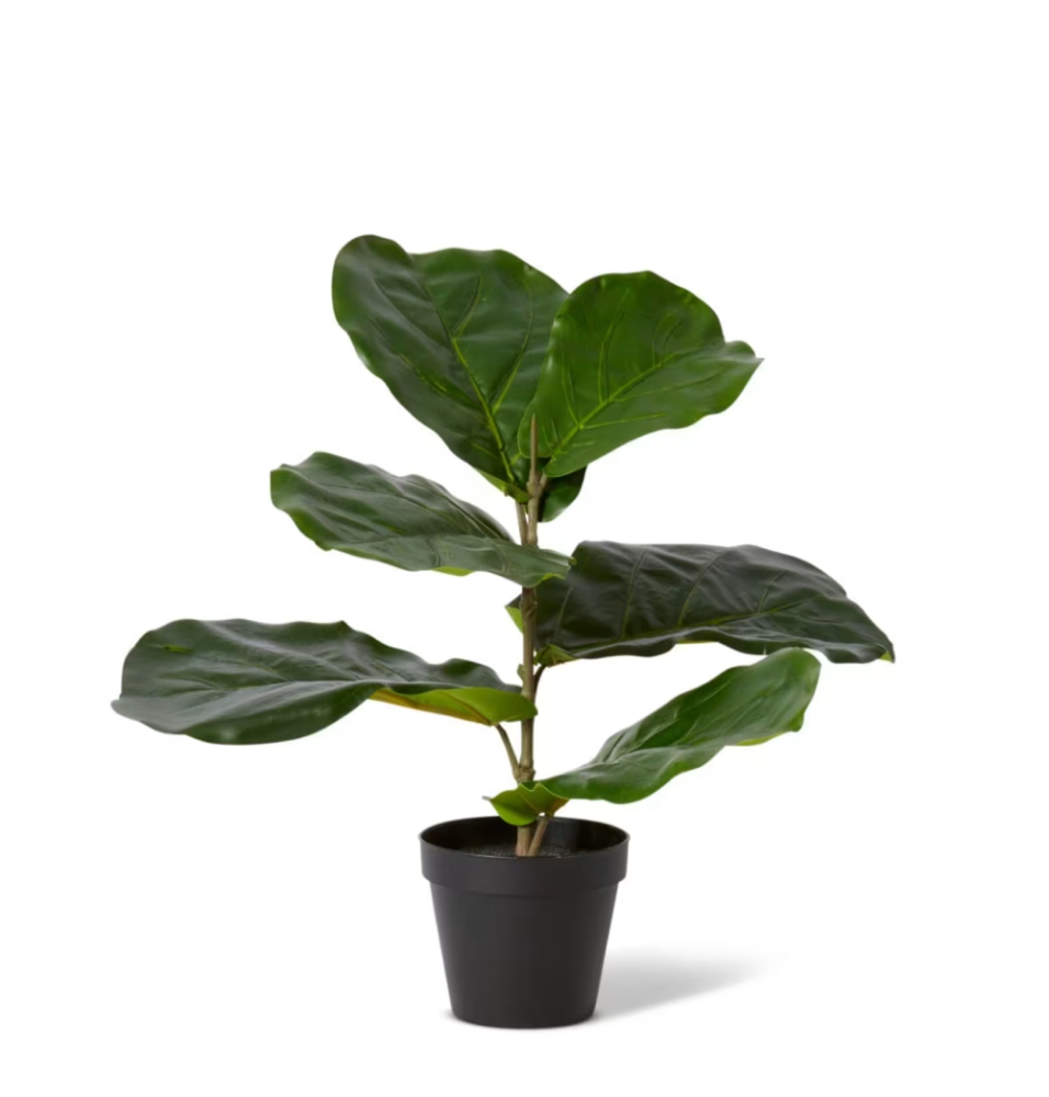 Artificial Outdoor Fiddle Leaf Tree - 40cms
