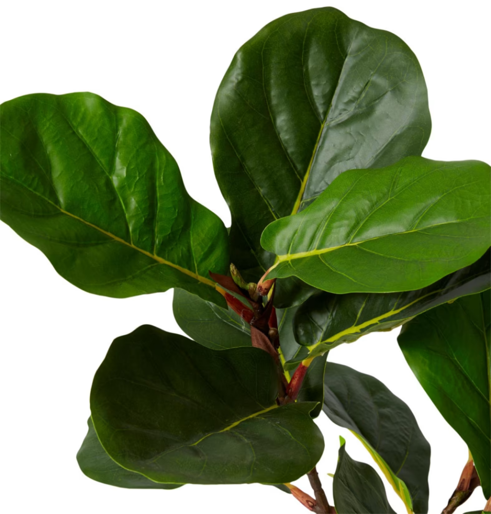 Artificial Outdoor Fiddle Tree - 70cms