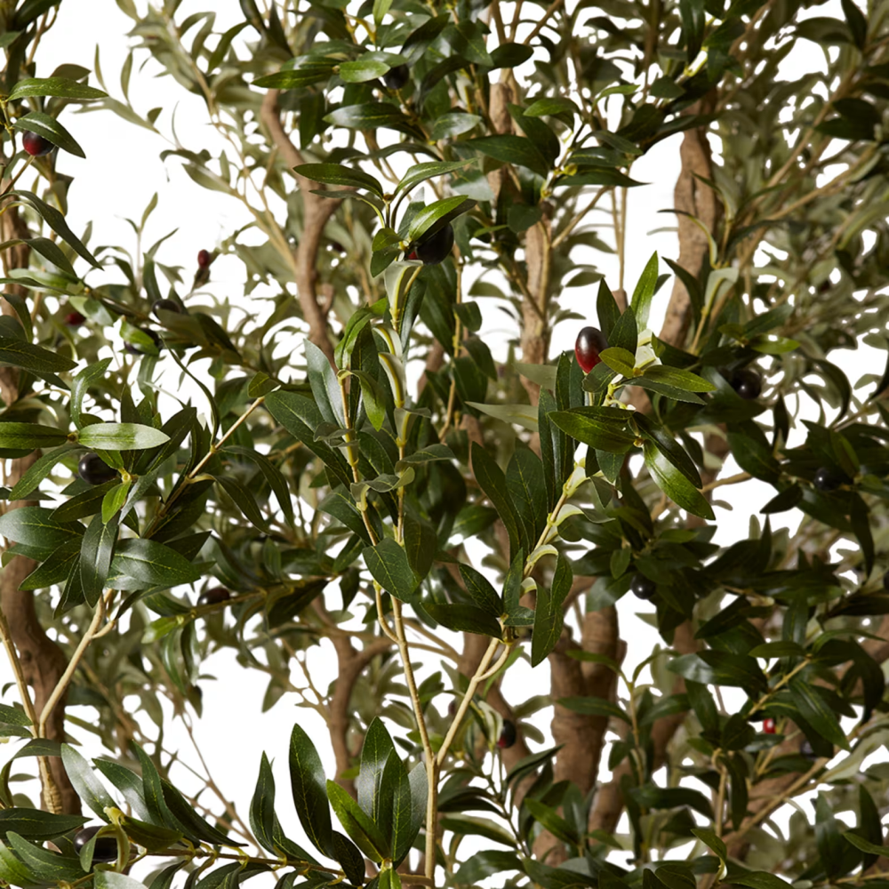 Artificial Outdoor Garden Olive Tree - 300cms