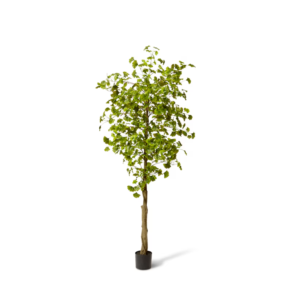 Artificial Outdoor Ginkgo Tree - 213cms
