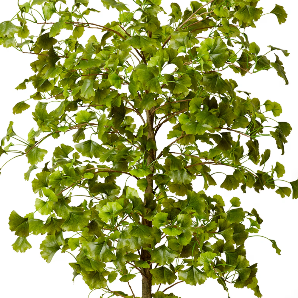 Artificial Outdoor Ginkgo Tree - 244cms