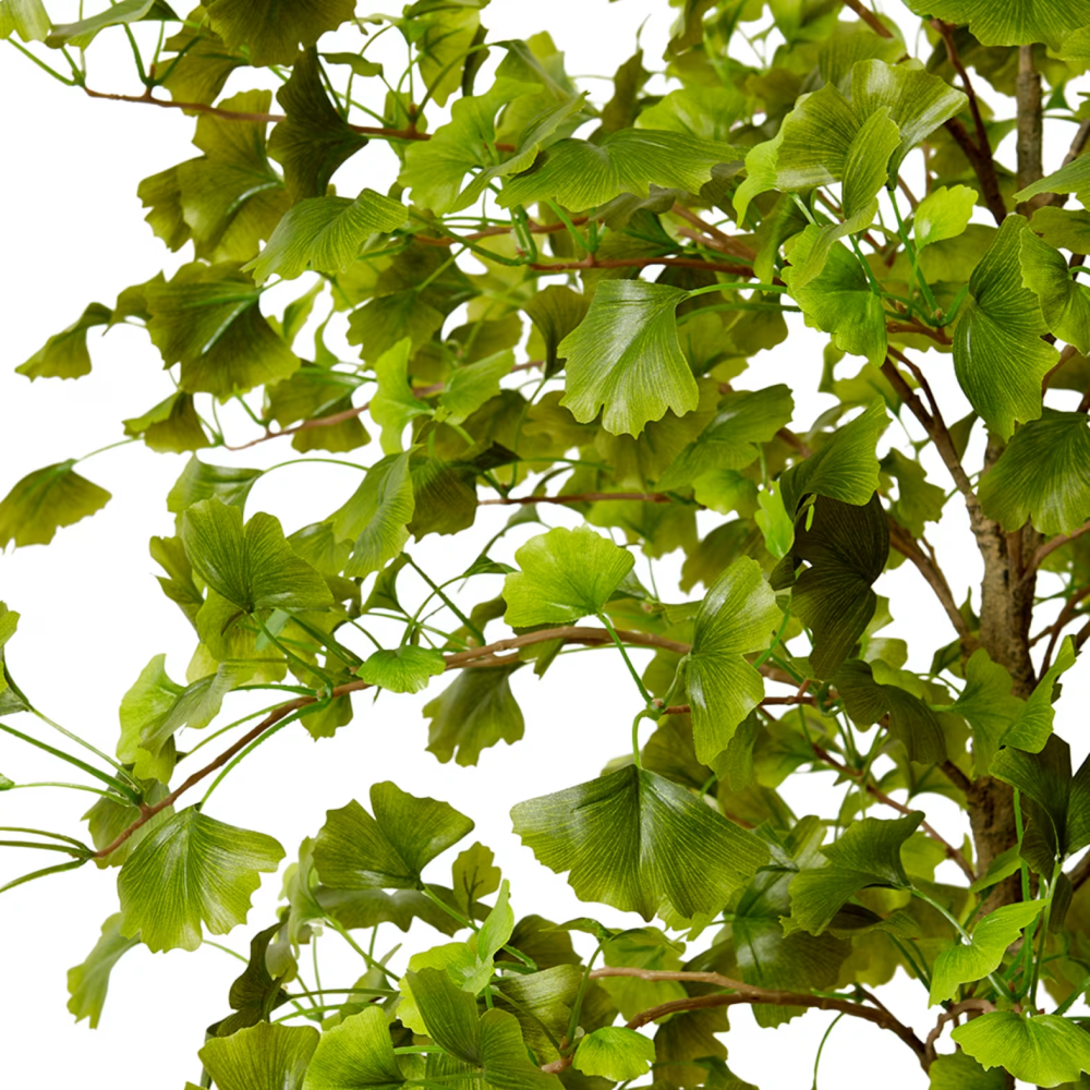 Artificial Outdoor Ginkgo Tree - 244cms