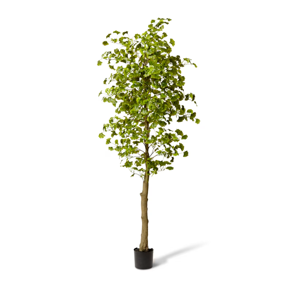 Artificial Outdoor Ginkgo Tree - 244cms